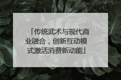传统武术与现代商业融合，创新互动模式激活消费新动能